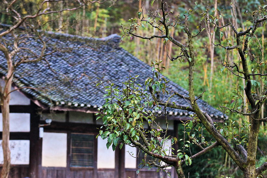 Guizhou through a photographer's eye