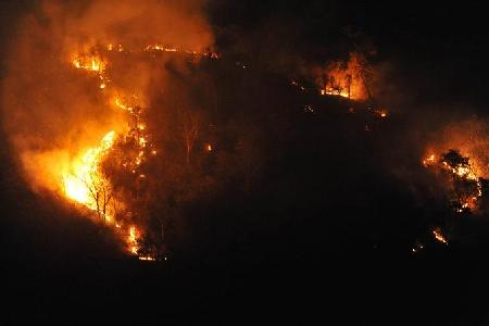 Forest fire burns in south China