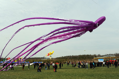 kites fly high in Weifang