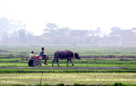 Guangxi relieved from prolonged drought