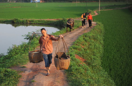 37-year-old farmer sows the seeds of singing success