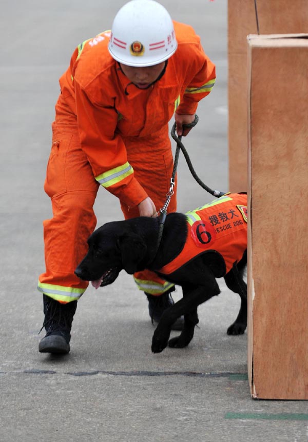 Fire drill held in Central China