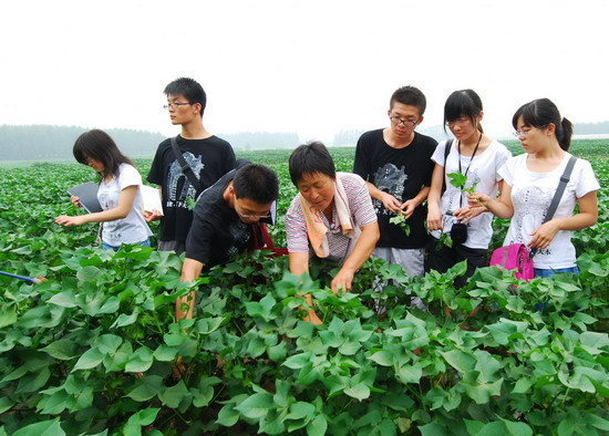 Colleges students sail on social practices tour