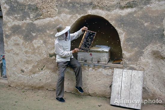 Elderly feel cozy in cave-style houses