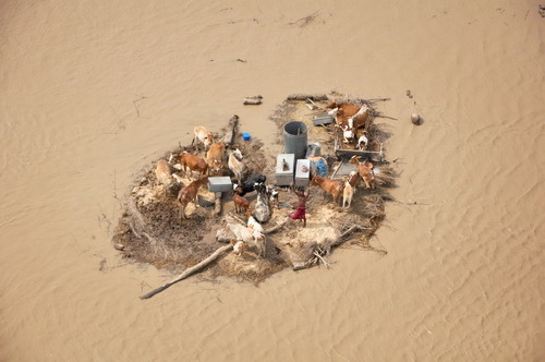 Marooned family mergered in floods in Pakistan