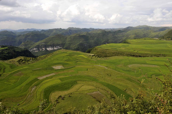 Over 630,000 suffer water shortage in Guizhou