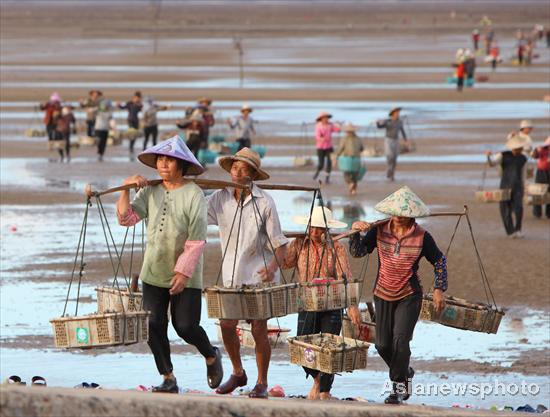 Fishers return from collecting razor clams