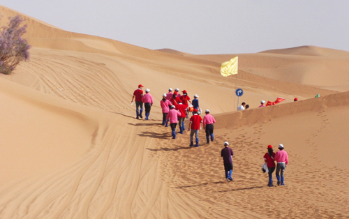 Feeling their way across the desert