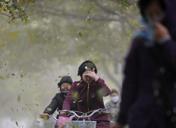 Gale alert issued in NW China