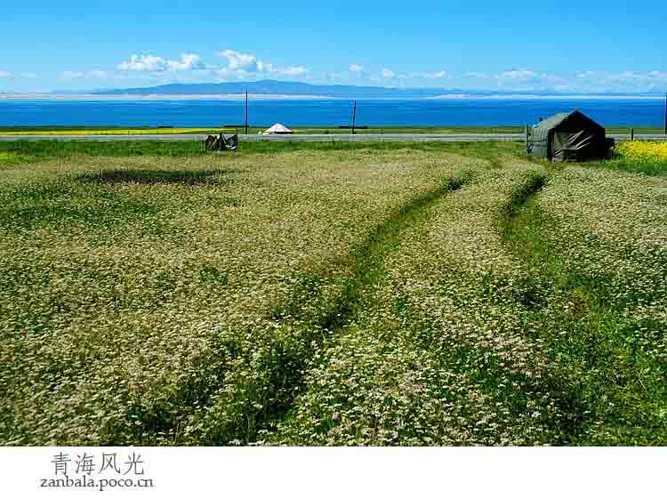 Jambhala: Tibet Buddhism influences photography (Part II)