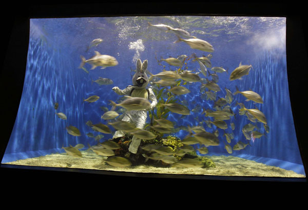 'Rabbit' dancing in the aquarium for New Year