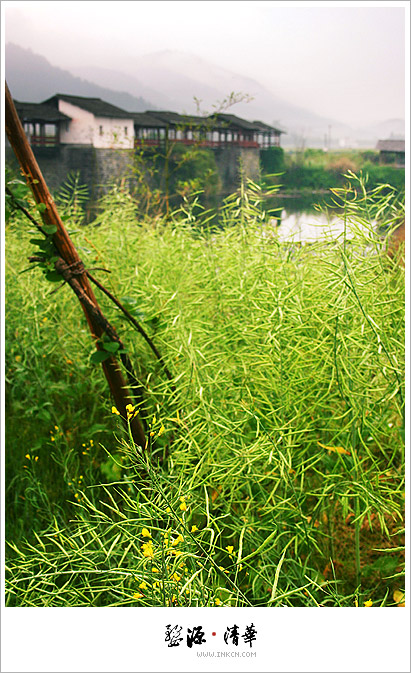 Wuyuan, East China's Jiangxi province