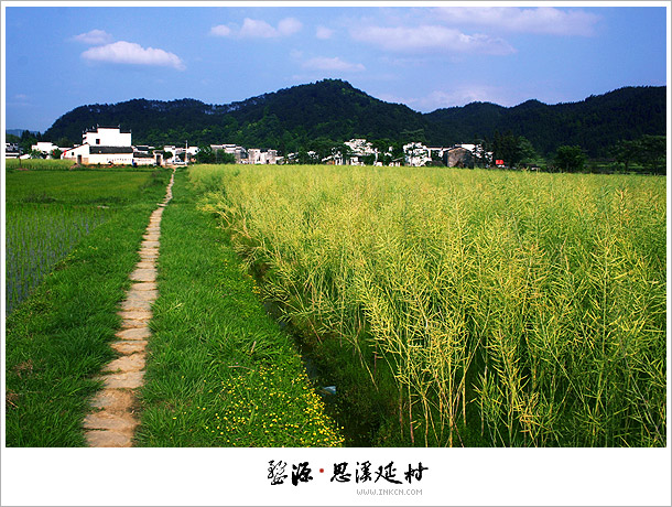 Wuyuan, East China's Jiangxi province