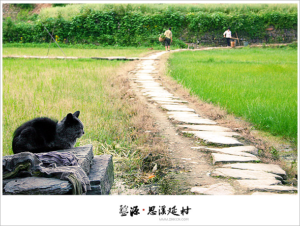 Wuyuan, East China's Jiangxi province