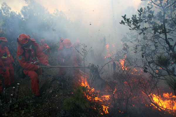 Forest engulfed in blaze; yet to be tamed