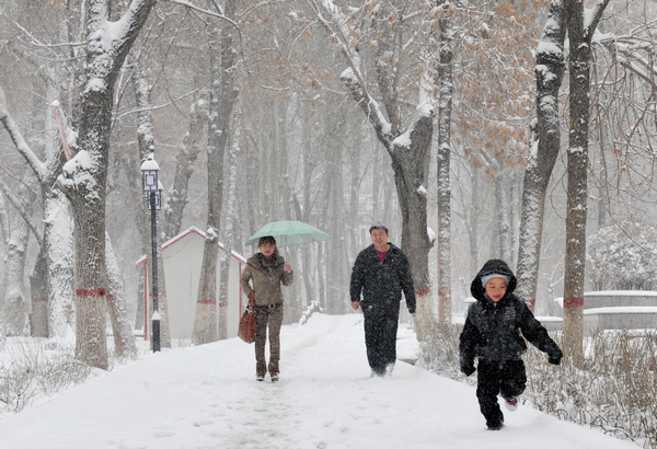 Heavy snow hits Urumqi