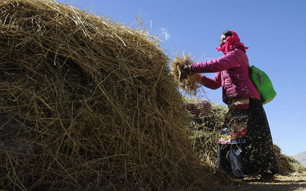 Increasing Tibet's wealth in a green way