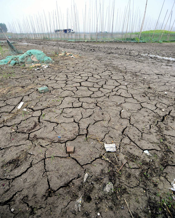 Severe drought ravages Central and East China