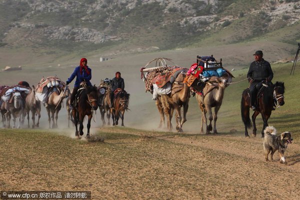 Driving herds to Altay Mountains 