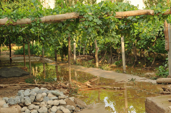 Sudden flood hits Xinjiang's Turpan