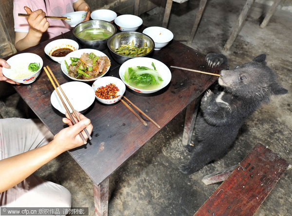 Farmer helps with the bear necessities of life