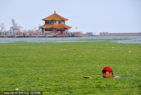 Beachgoers covered in algae in E China