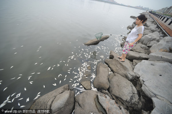 Mass of dead fish found in N China city