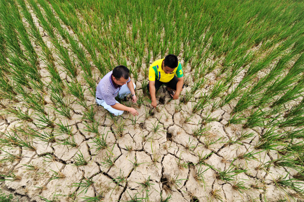 C China's Hunan hit by lasting droughts