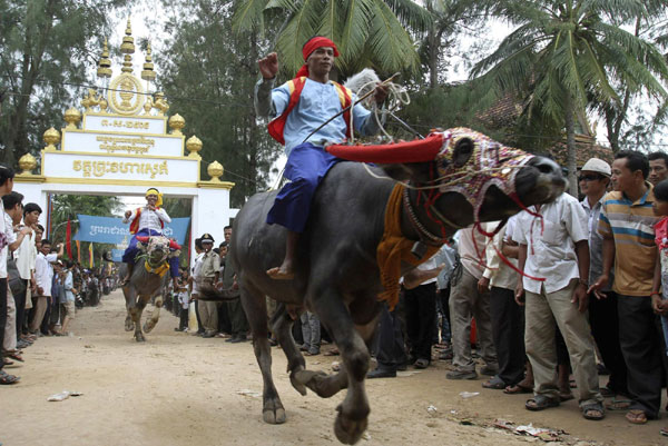 Buffalo-racing ceremony