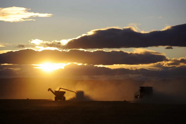 7 Billion People Special: Feeding the world