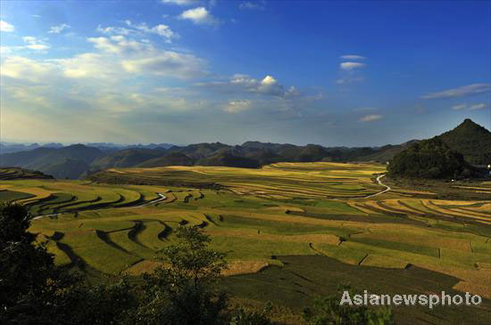 Autumn photos: Focus on fields