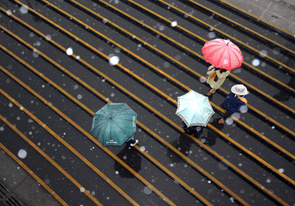 Season's first snow falls in Beijing