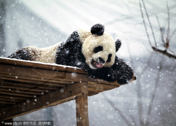 First taste of snow