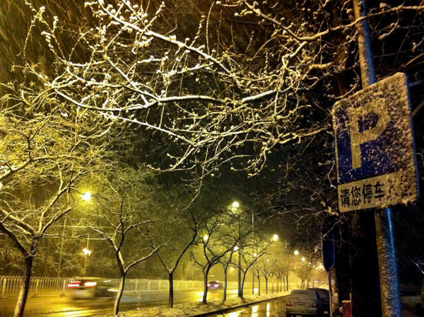 Spring snow blankets Beijing