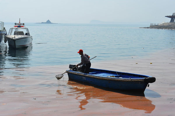 The parting of the red sea in China