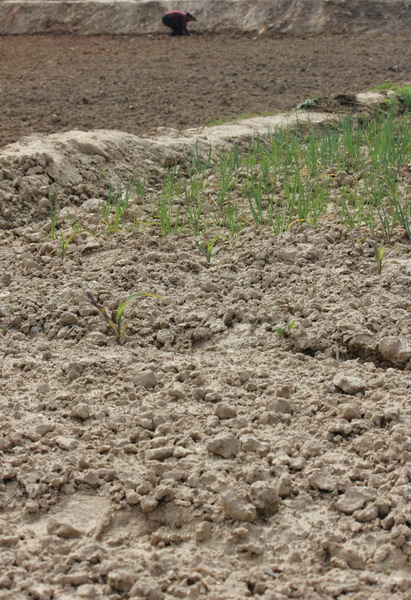 Serious drought dries up river in C China