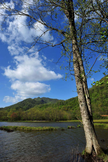 Fantastic view of Dajiuhu Lake Wetland Park