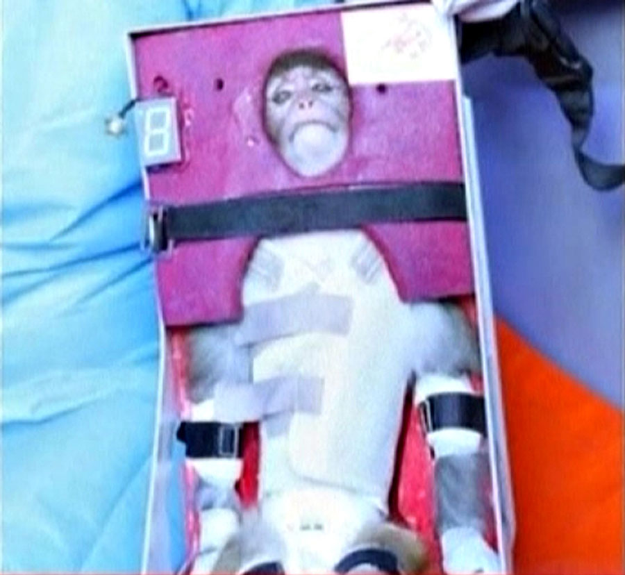 Iran sends monkey into space