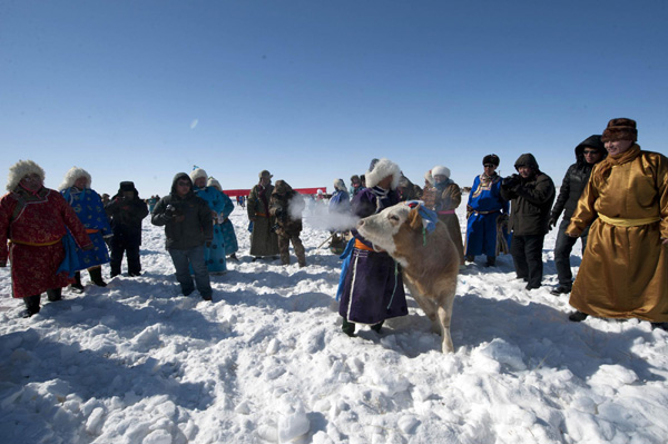 Livestock festival in North China