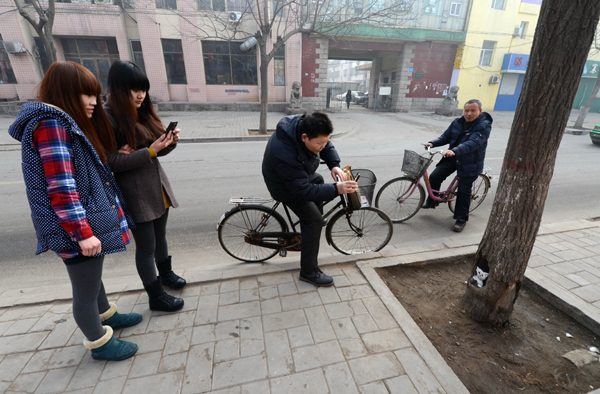 Tree hole art a treat for passers-by