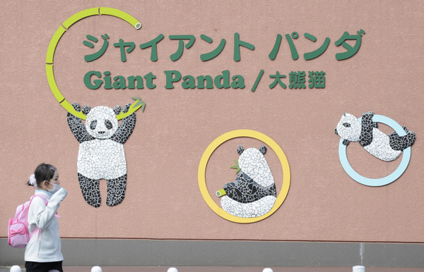 Panda House reopened at Ueno Zoo in Japan