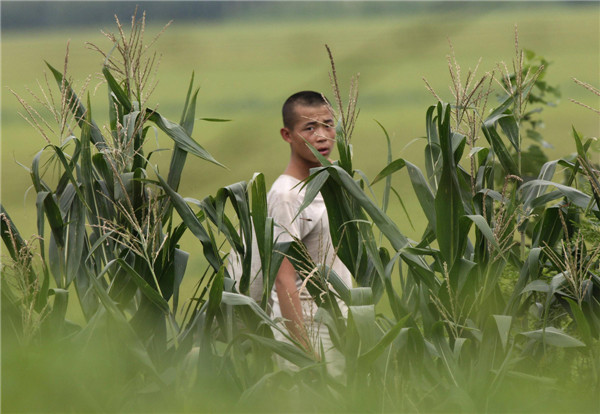 On the banks of DPRK