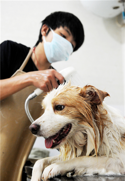 Hot pets in naked scrub down