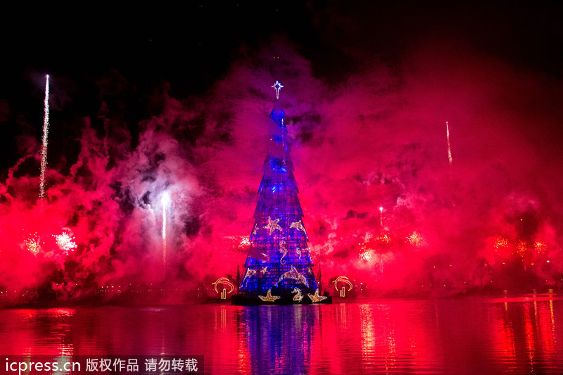 Beautiful Christmas trees around the world