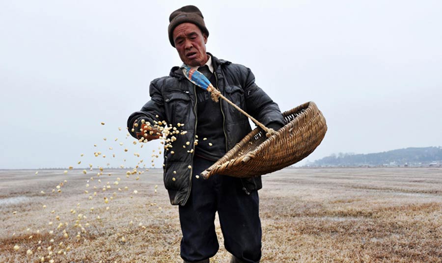 Reserve secures 50 tons of grain for birds