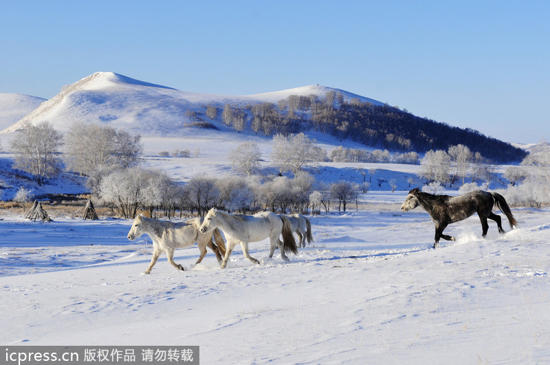 Cold front sweeps through North China