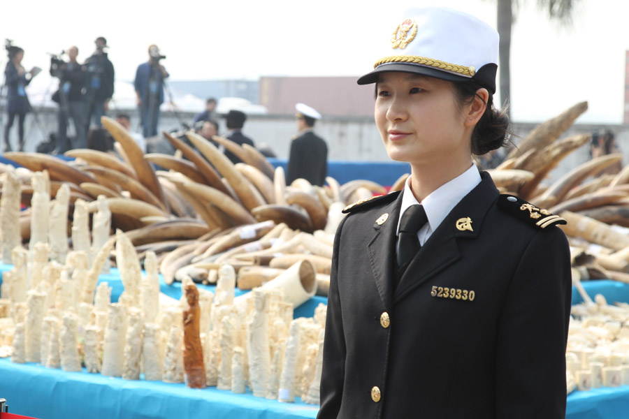 China destroys 6.1 tons of seized ivory