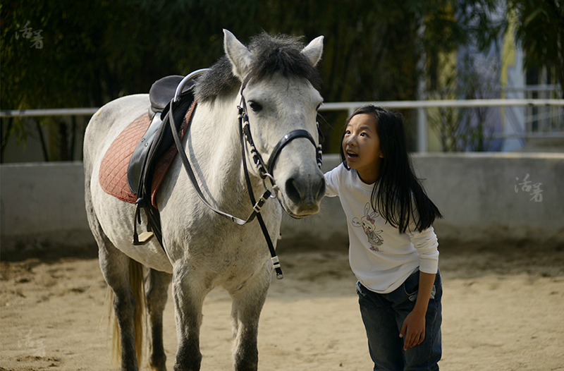 Growing up on back of a horse