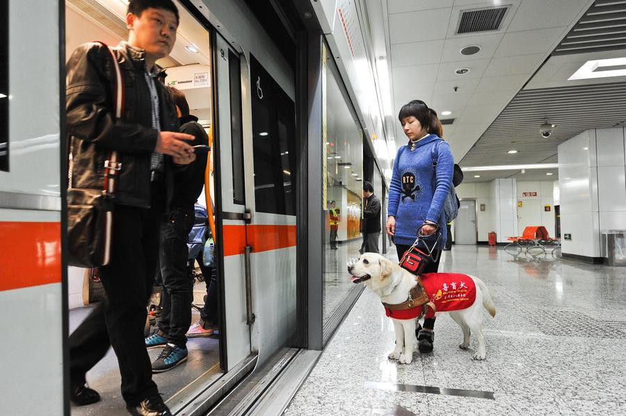 Shanghai gives nod to guide dogs