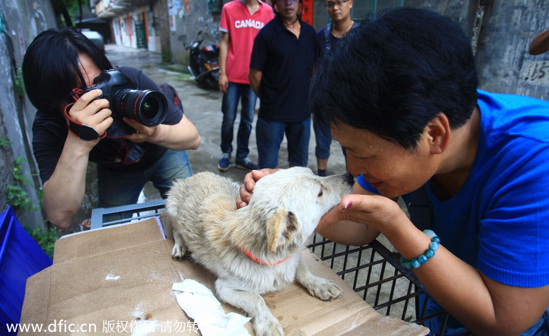 Yulin dog meat vendors make money off activists